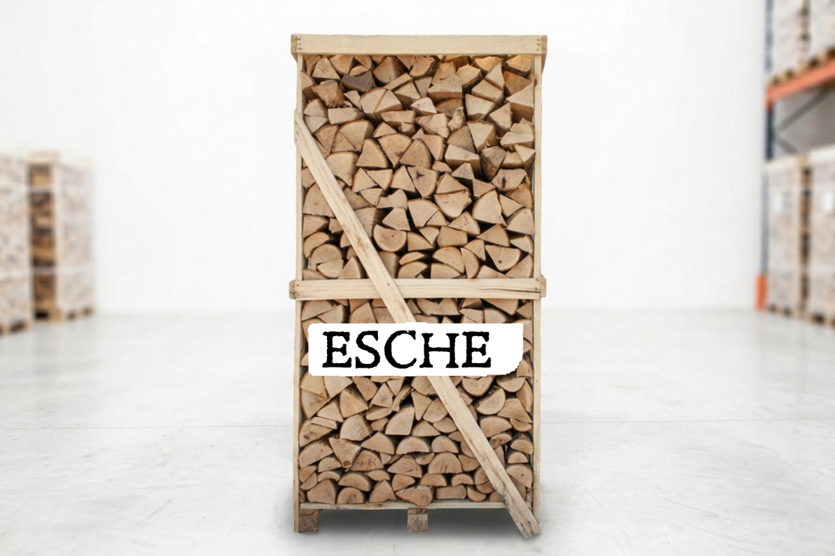 Brennholz Palette – Esche – 25 cm – kammergetrocknet – 2 RM
