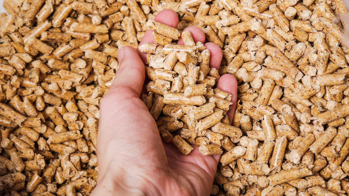 1 LKW-Ladung Premium Holzpellets