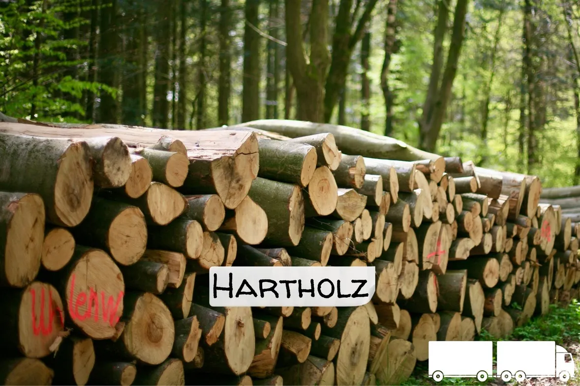 Stammholz Hartholz-Laubholz – LKW-Ladung (20 – 40 RM)