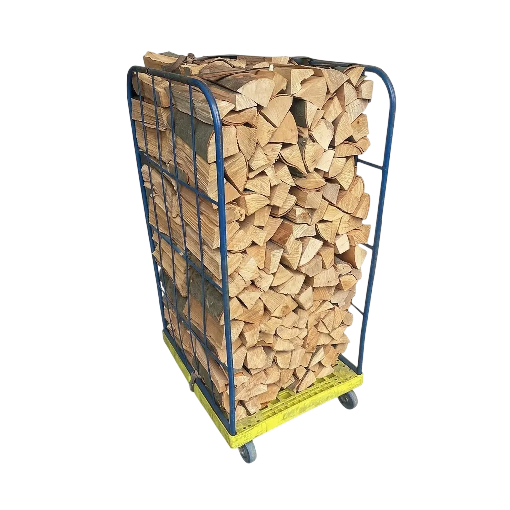 Brennholz  Buche 1 SRM kammergetrocknet